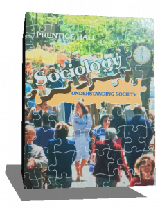 SOCIOLOGY UNDERSTANDING SOCIETY