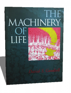 THE MACHINERY OF LIFE