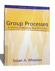 GROUP PROCESSES A DEVELOPMENTAL PERSPECTIVE