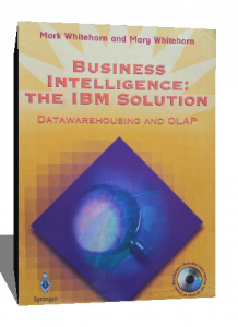 BUSINESS INTELLIGENCE THE IBM SOLUTION