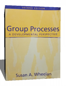 GROUP PROCESSES A DEVELOPMENTAL PERSPECTIVE