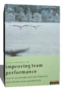 IMPROVING TEAM PERFORMANCE