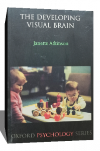 the developing visual brain