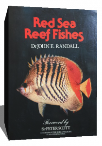 red sea fishes