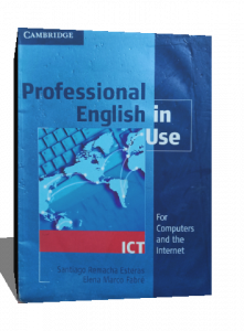 professional english in use