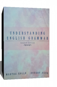 understanding english grammar
