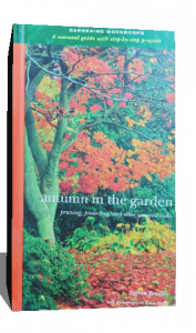 autumn in the garden