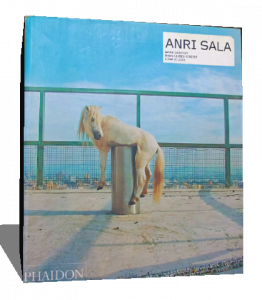 anri sala
