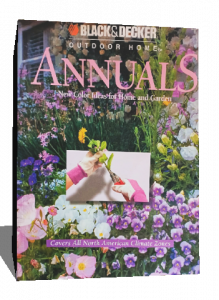 annuals new color ideas for home and garden