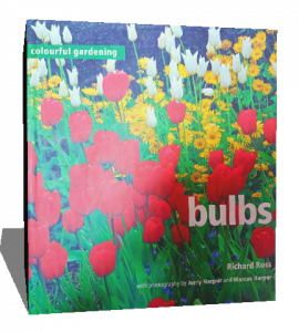 bulbs