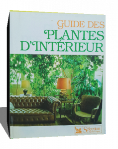 guide des plantes d'intérieur