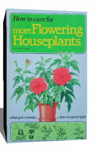 how to care for more flowering houseplants