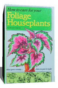 how to care foliage houseplants