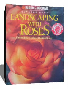 landscaping with roses
