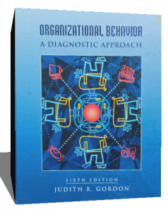 organizational behavior a diagnostic approach
