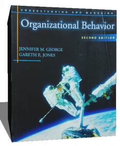 organizational behavior