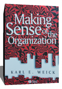 MAKING SENSE OF THE ORGANIZATION