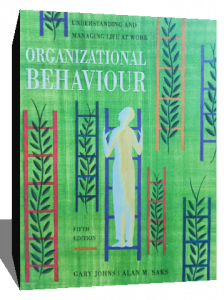 understanding and managing life at work organizational behavior