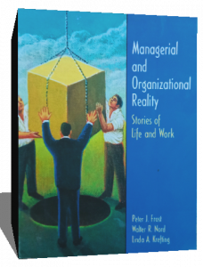 managerial and organizational reality stories of life and work