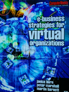 e-business strategies for virtual organizations