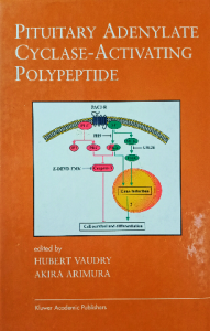 Pituitary adenylate cyclase activating polypeptide