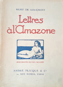 Lettres à l'amazone