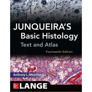 Junqeiras basic histology text and atlas
