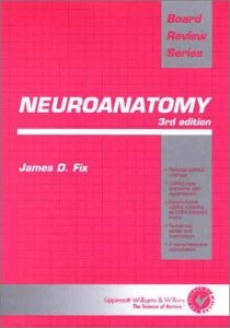 Neuroanatomy