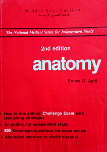 Anatomy