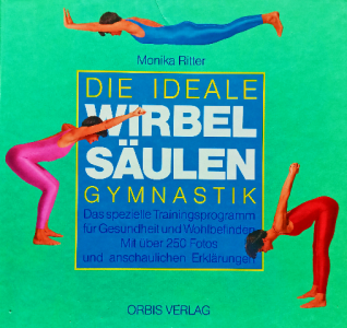 Die ideale wirbel säulen