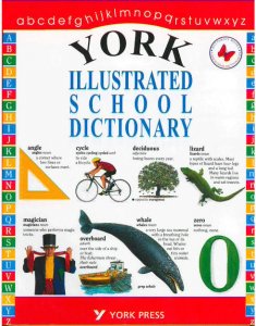 York illustrated school dictionary
