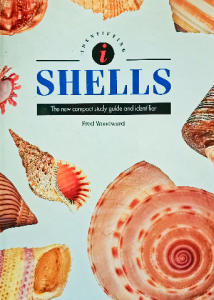 Shells The new and familiar compact study guide