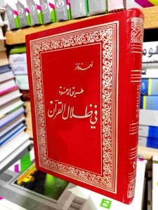 طريق الدعوة في ظلال القرآن